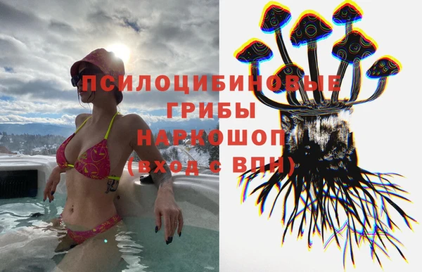 прущая мука Ладушкин