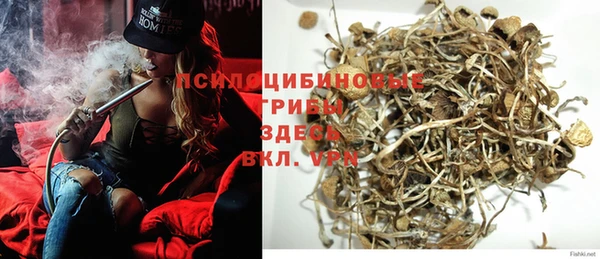 герыч Лагань
