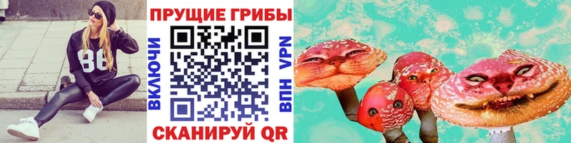 Купить  Анадырь  Псилоцибиновые грибы Psilocybine cubensis 